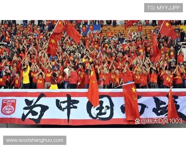 亚洲进过世界杯的国家世界杯体育论坛